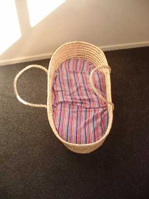 Slug's moses basket